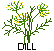 dill