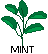 mint