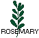 rosemary