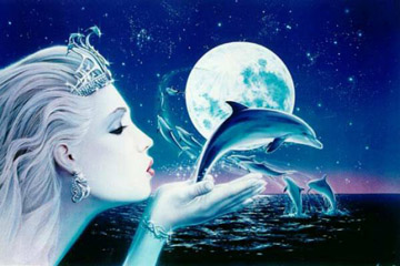 Dolphin Doorway